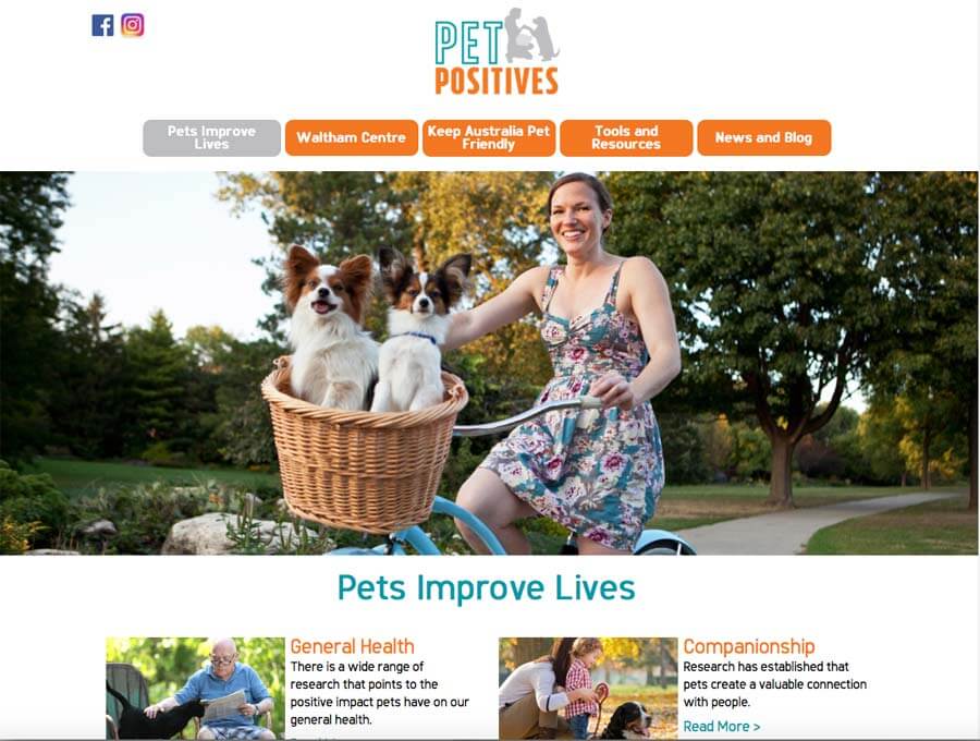 pet positives pet industry blog