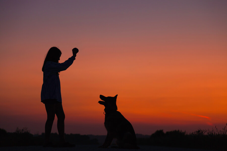 woman holding ball in air for dog