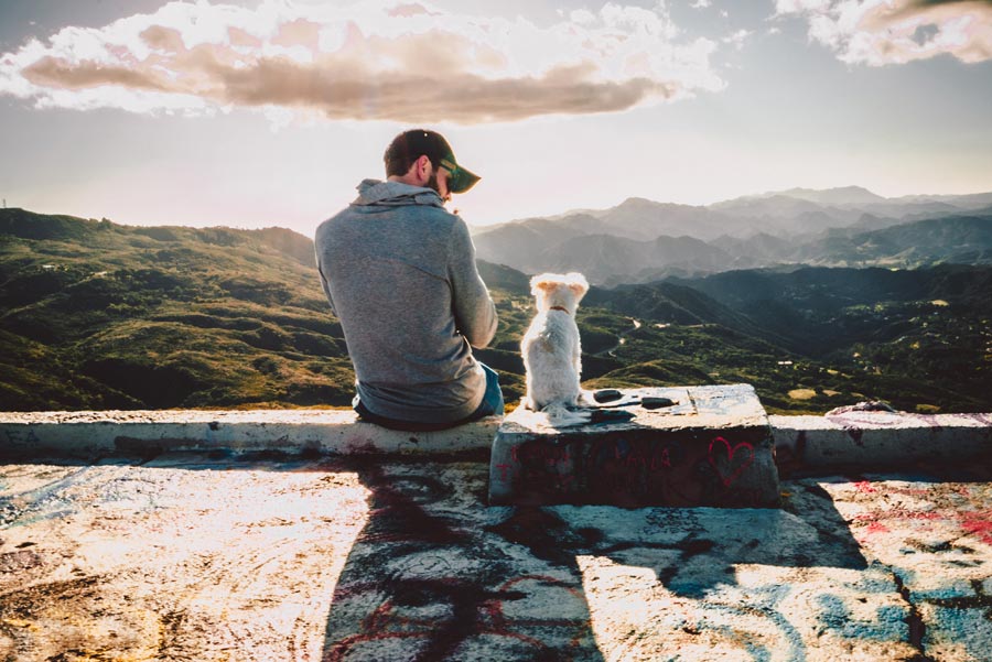man sitting beside white dog outdoors