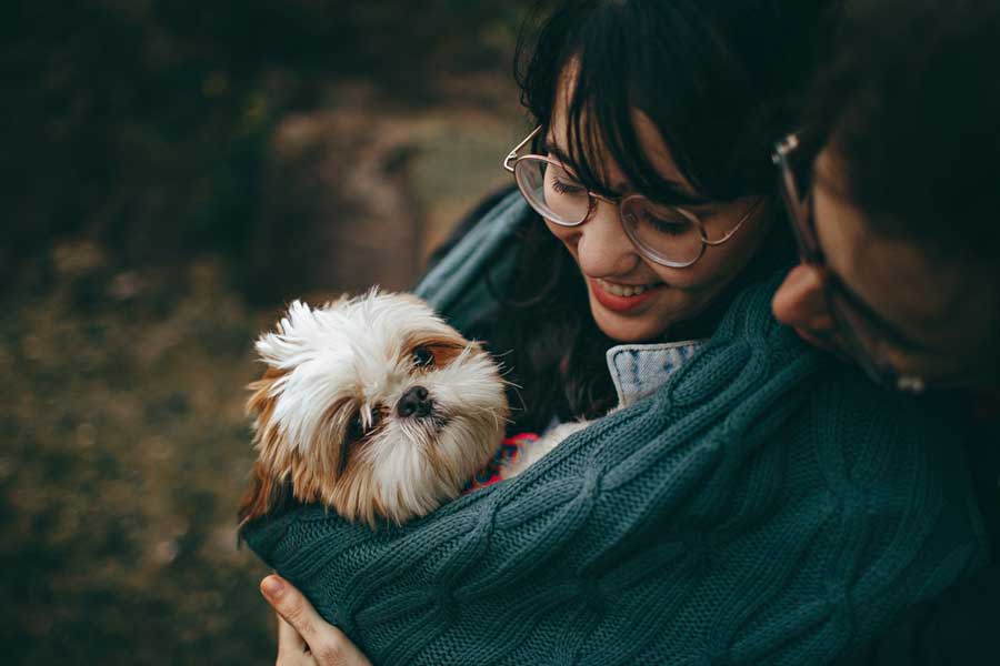 Couple cuddling a small dog