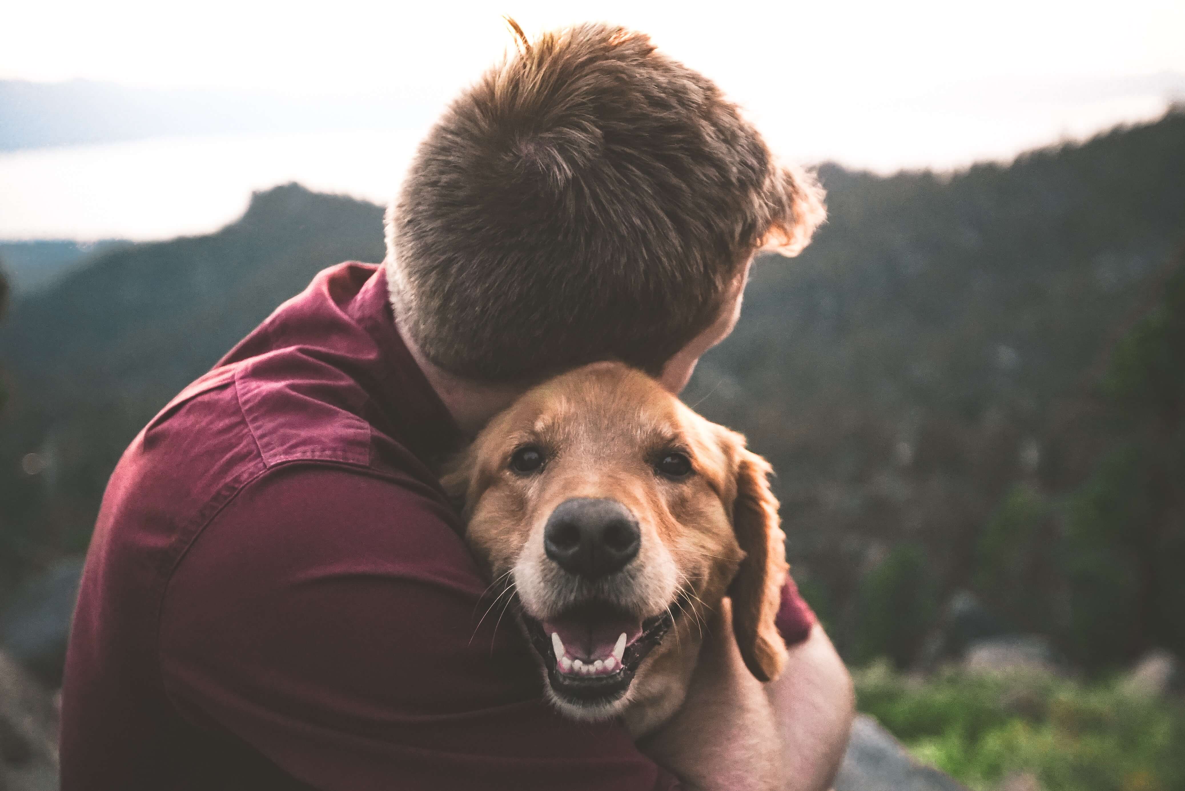 connection between humans and animals