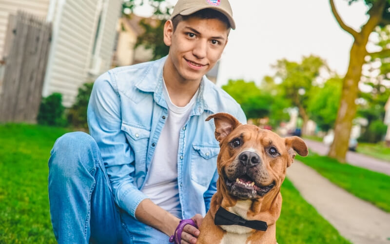 Young boy with dog | pet sitter