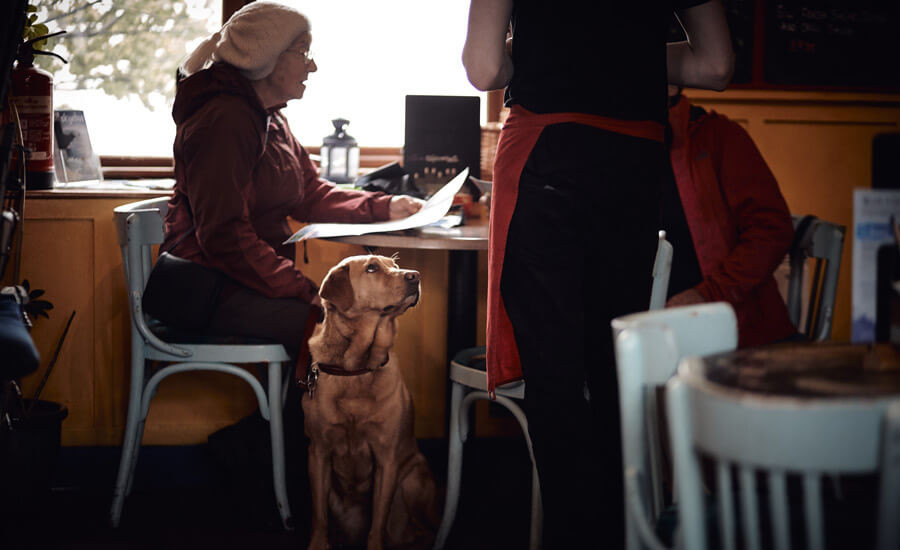 old woman with dog in cafe, loss of a pet