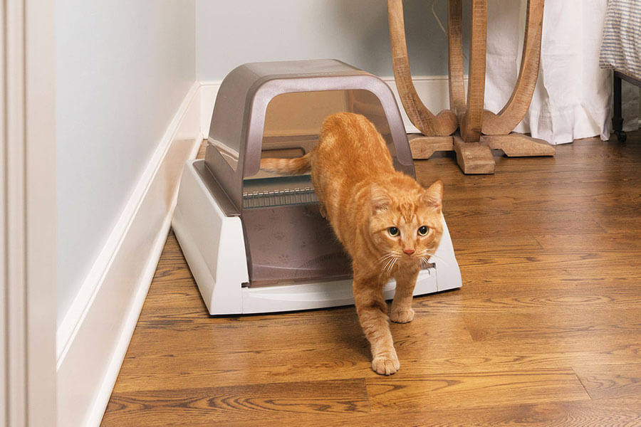 self-cleaning litter tray