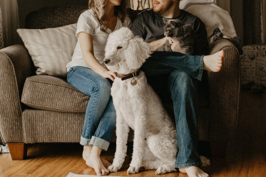 pet sitting, couple on sofa with cat and dog