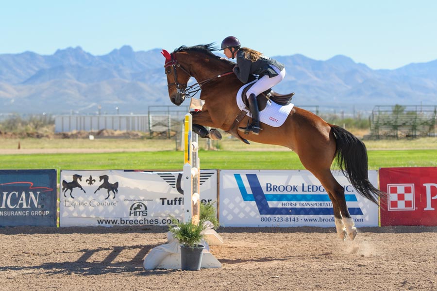 woman horse jumping outdoors in sunshine