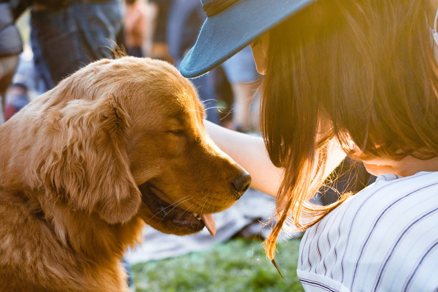 woman patting golden retriever outdoors