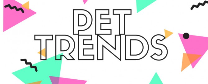 pet trends 2020