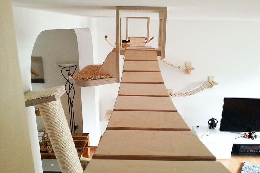 cat playground