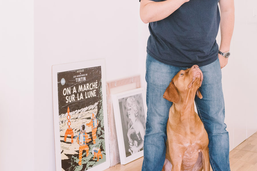 man training his dog indoors