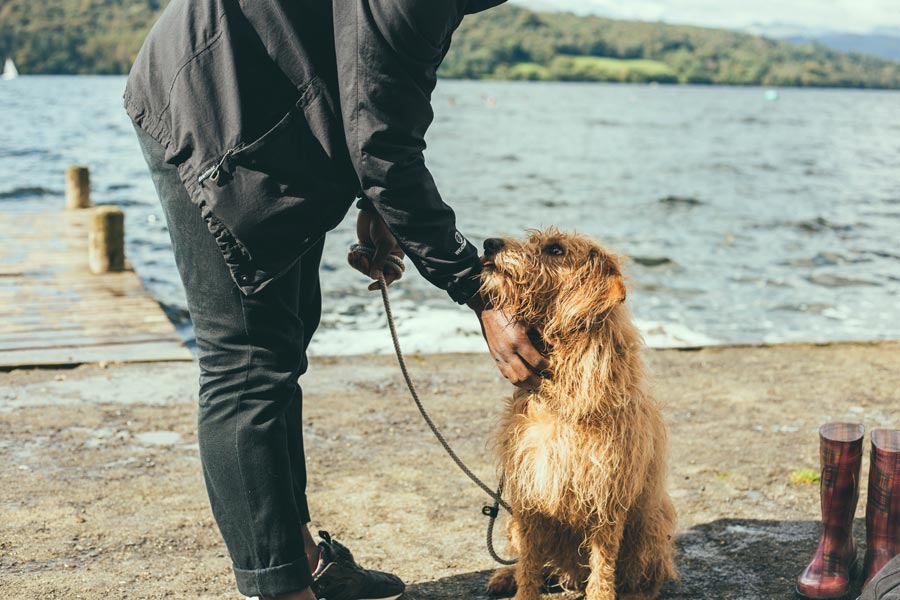 man outdoors with dog on lead, responsible pet parenting