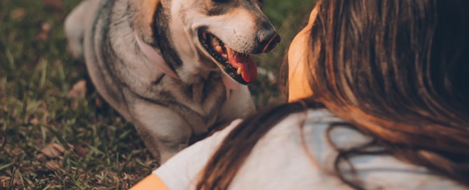 woman and dog lying on grass