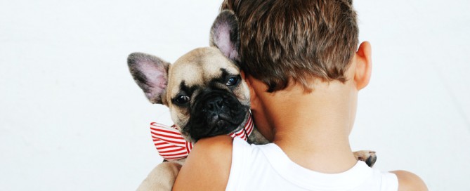 Young boy holding French bulldog