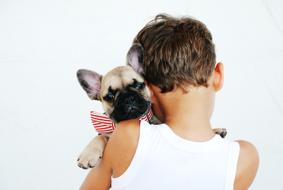 Young boy holding French bulldog