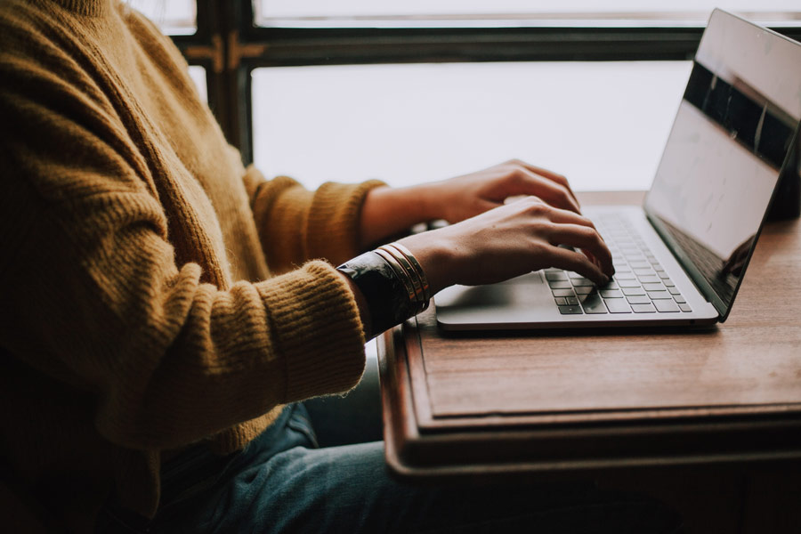 woman typing on computer, pet business