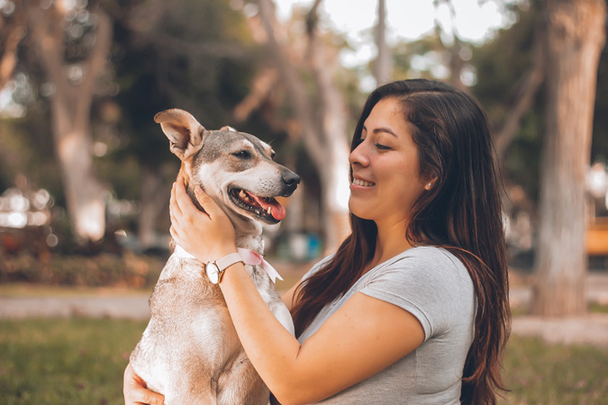 woman holding dog, working with pets