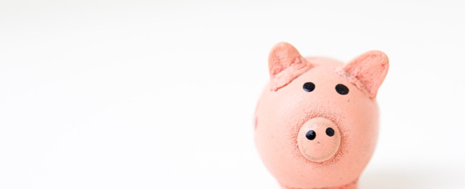 piggy bank, pet business news