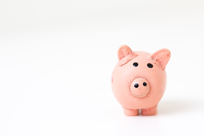 piggy bank, pet business news