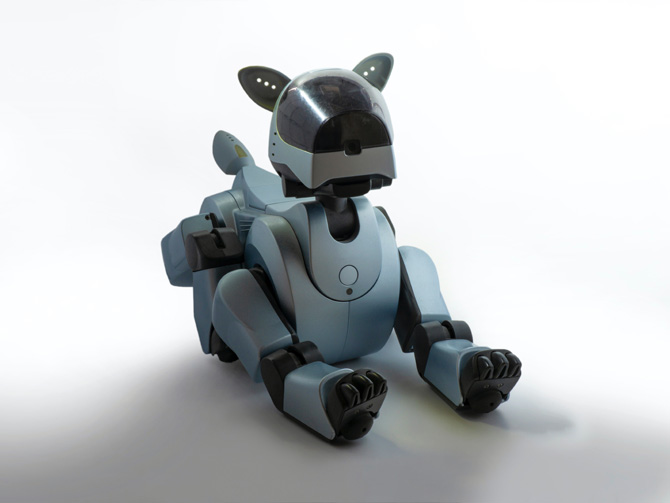 robot dog, therapy dogs