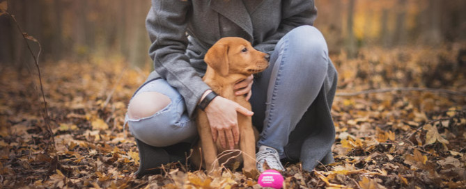 woman with dog outdoors, pet sitting