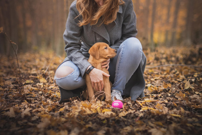 woman with dog outdoors, pet sitting