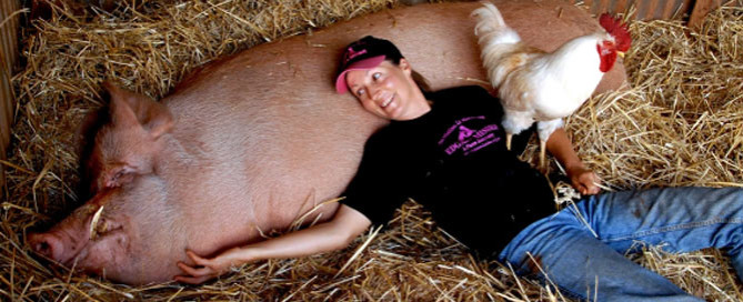 Pam Ahern, Edgar Pig, Edgar's Mission