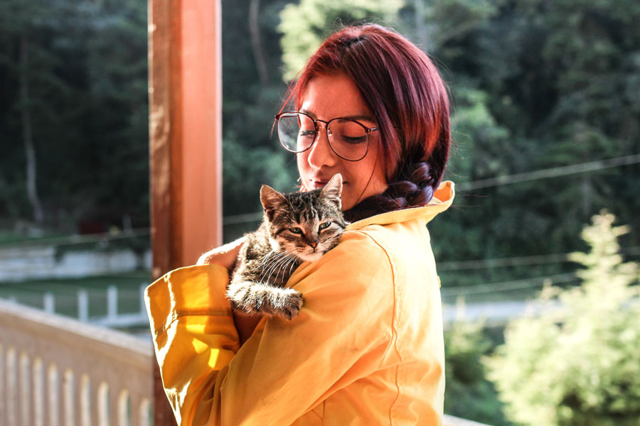 woman holding a cat, pet sitters